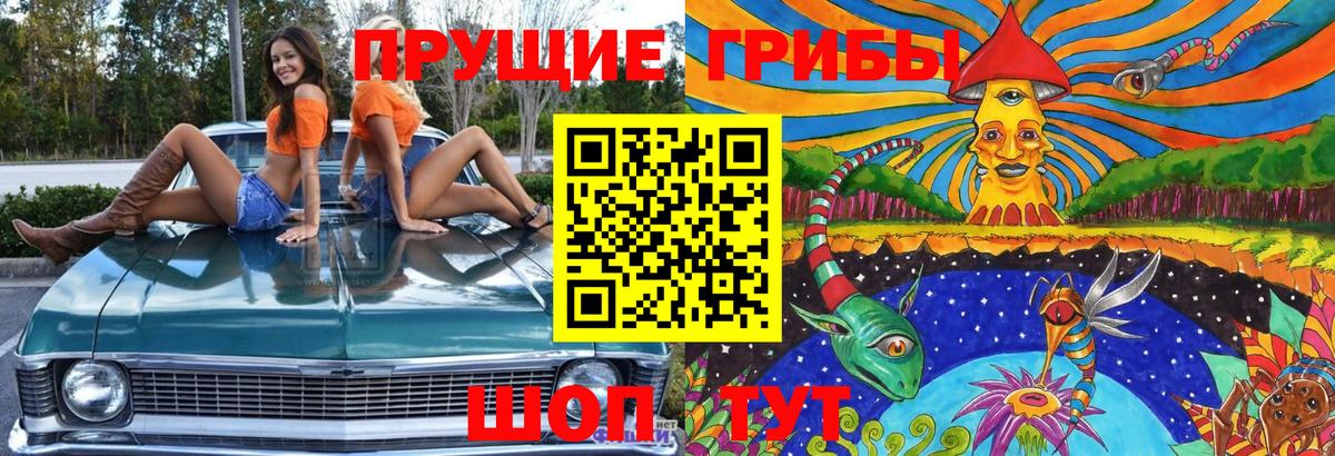 Псилоцибиновые грибы ЛСД  Галлюциногенные грибы мицелий  Волоколамск  Вход с VPN 