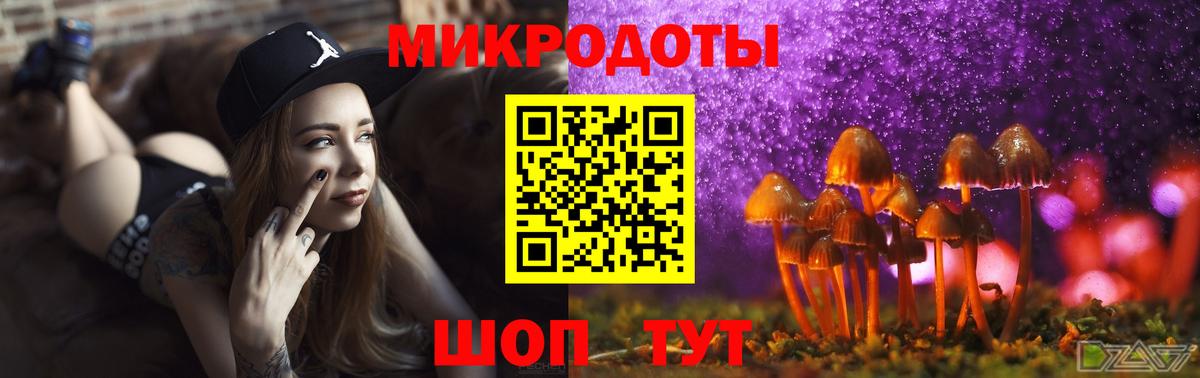 Псилоцибиновые грибы мухоморы Волоколамск